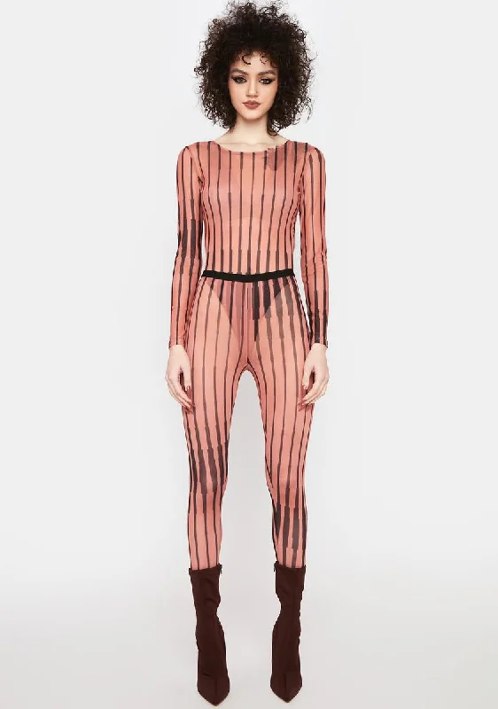 Dazzle Them Mesh Catsuit